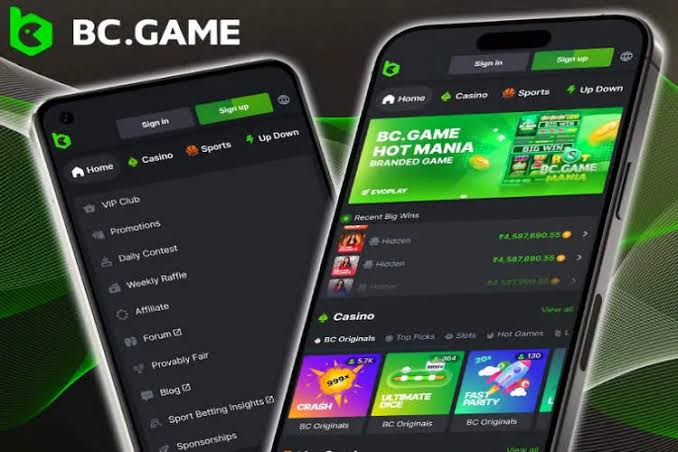 BC GAME Casino Indonesia Pengalaman Bermain yang Tak Terlupakan